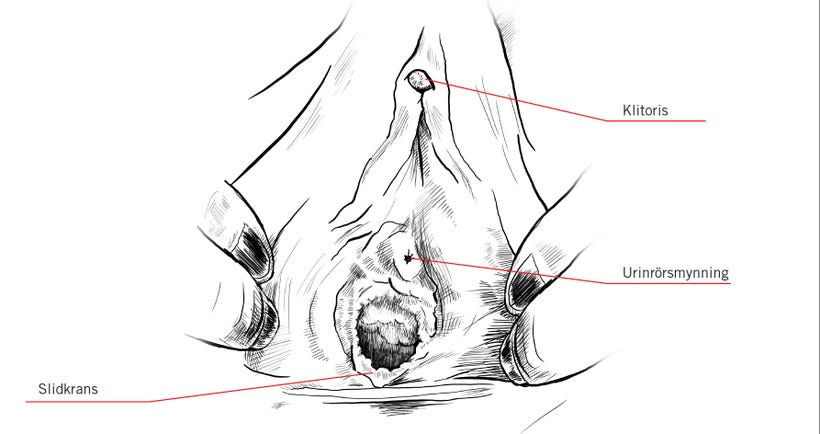 Yuqori sifatli sportchi porno