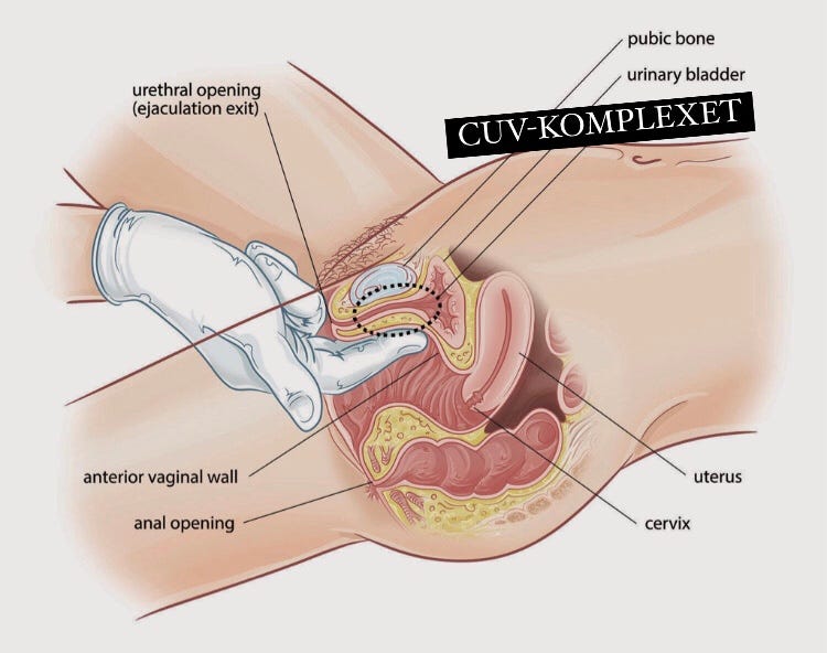 Alpha France porno onlayn Malikalar multfilmining porno parodiyalari