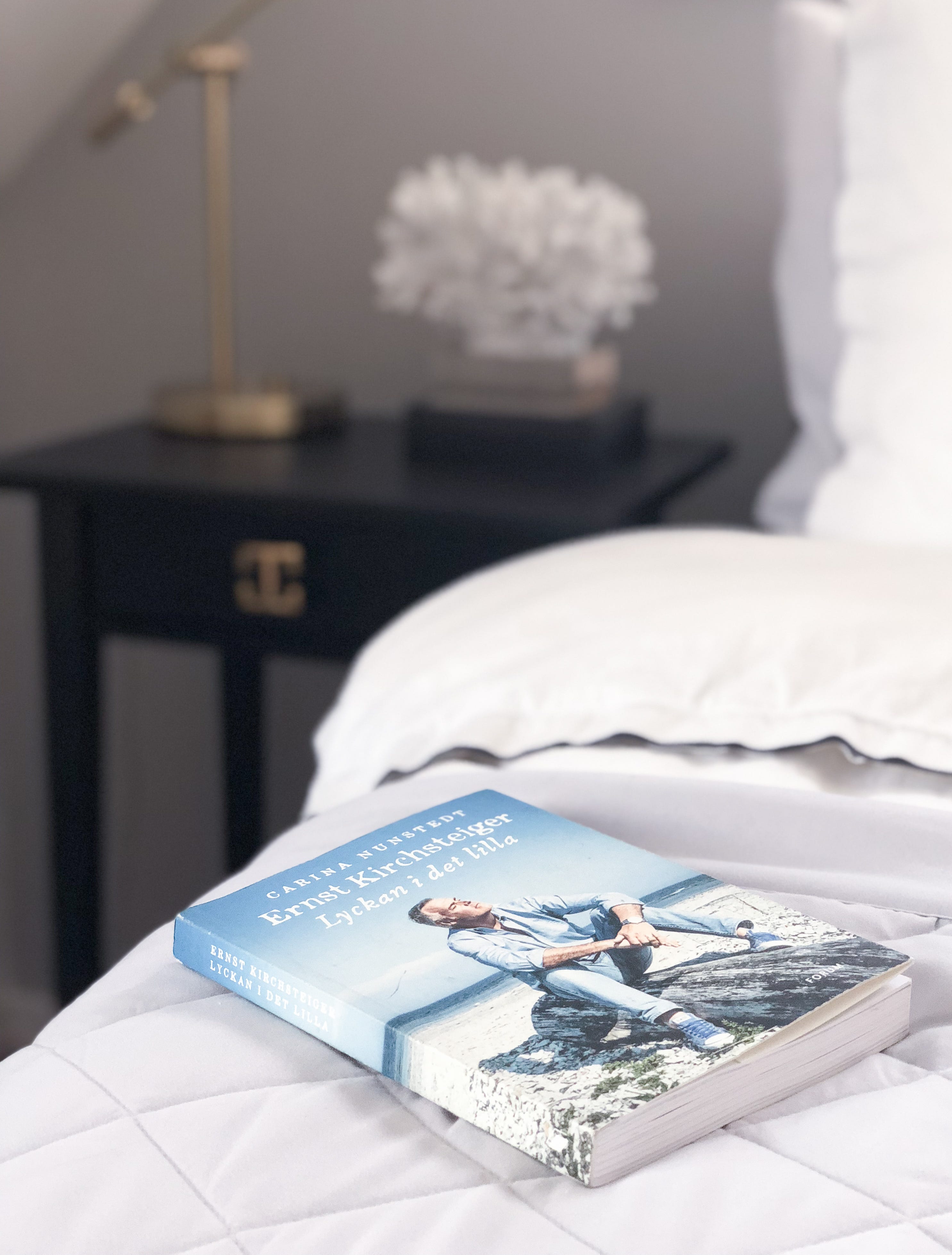 Ernst Kirchsteiger bok och inredning | Simplicity | Sköna Hem