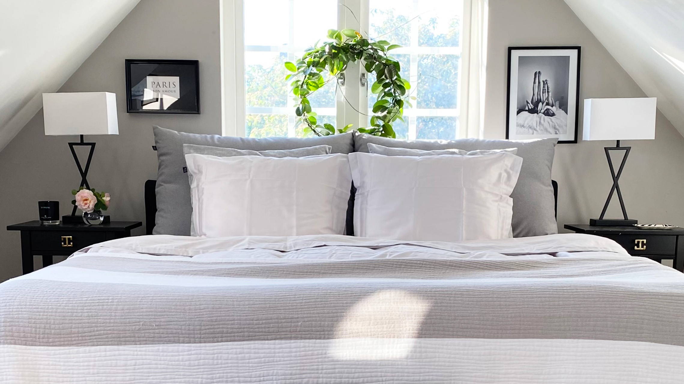 Porno erotik diskoteka video