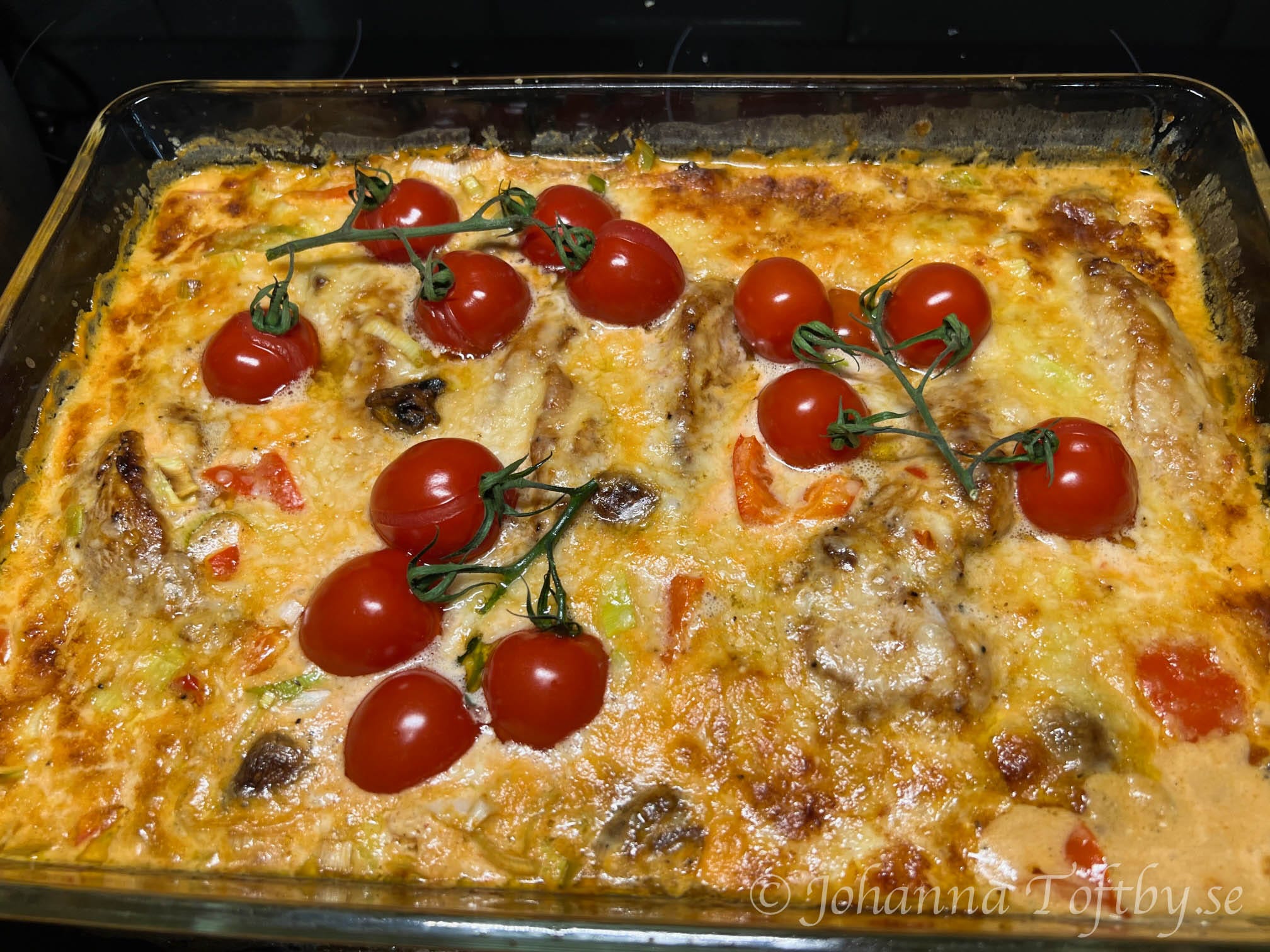 Semiz mushuk ayollar Baliq juda ajoyib